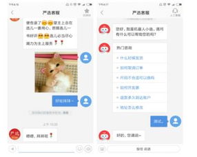 網(wǎng)易七魚(yú)智能客服 網(wǎng)絡(luò)技術(shù)服務(wù)背后的電商守護(hù)者